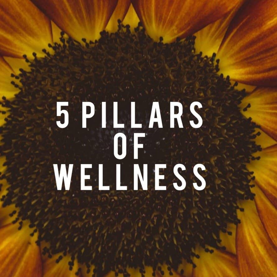 5 Pillars Of Wellness