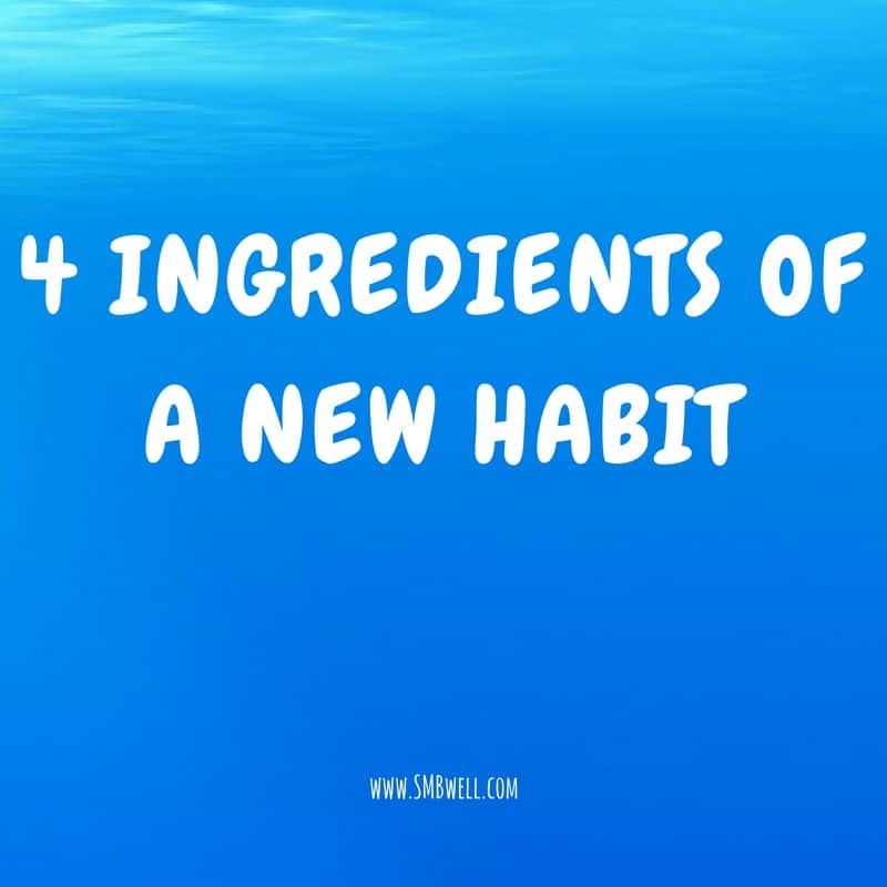 4 Ingredients of a New Habit